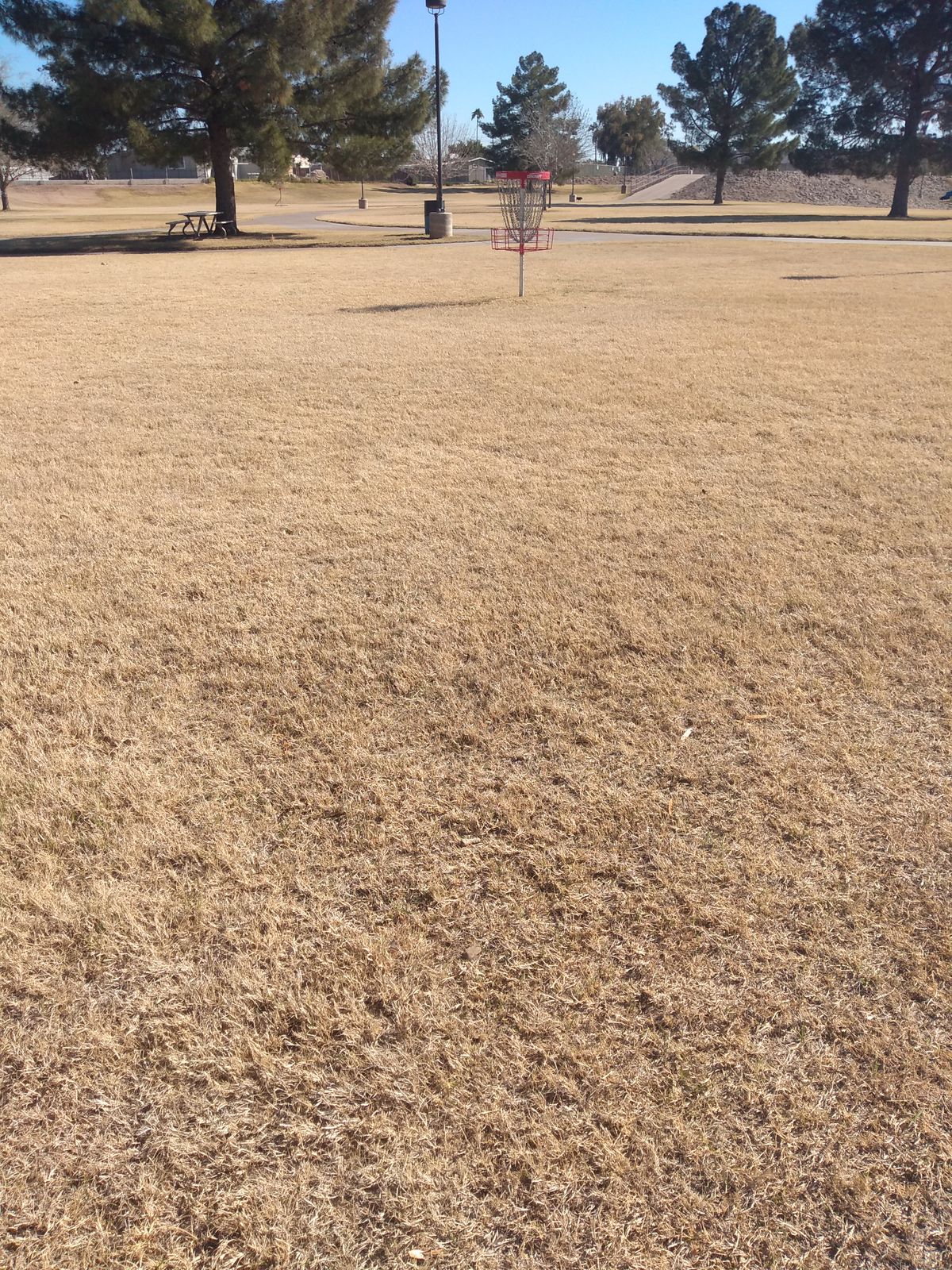 Hole 8 Vista XL
