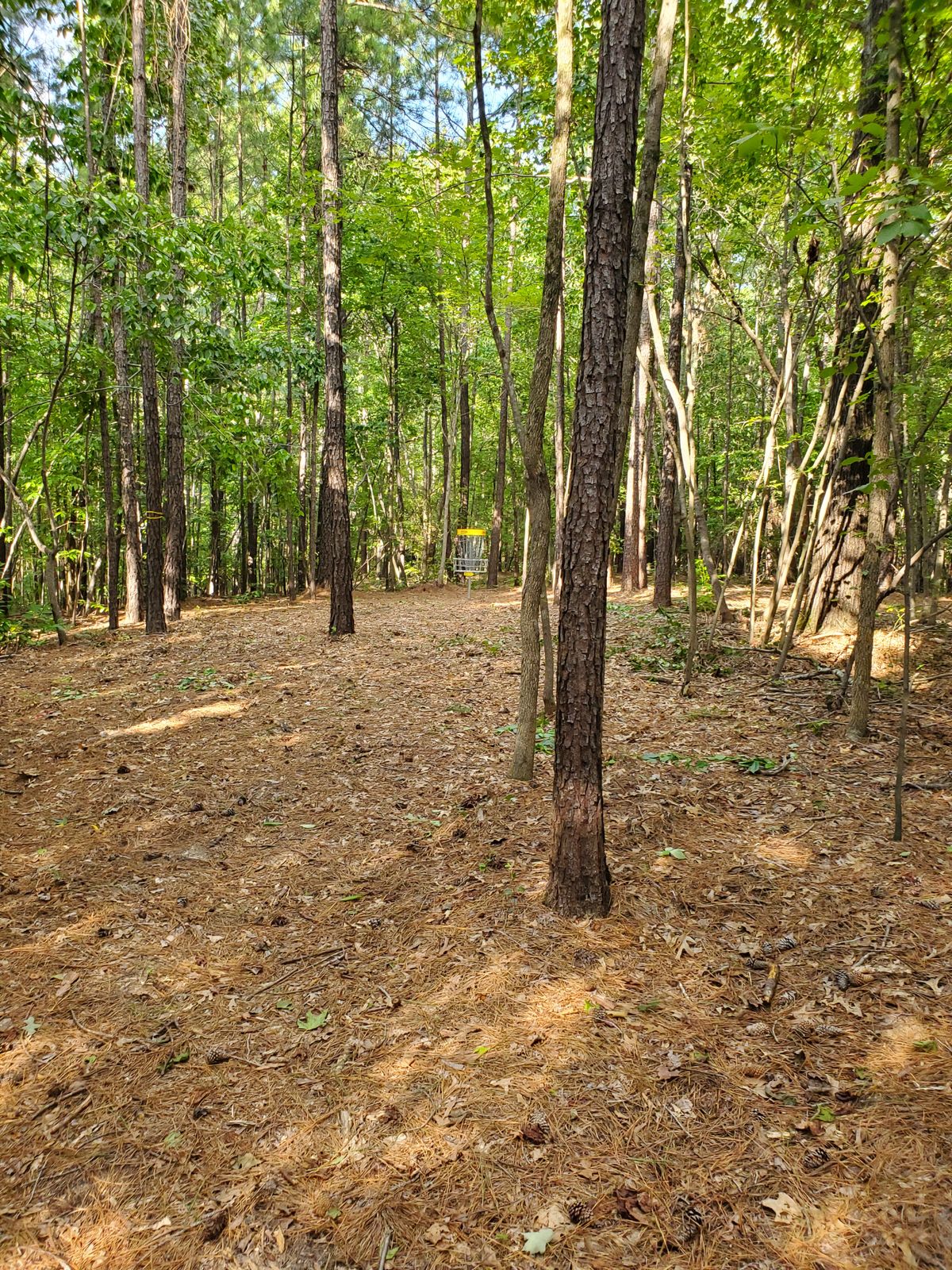 Hole 7 approach from the left side