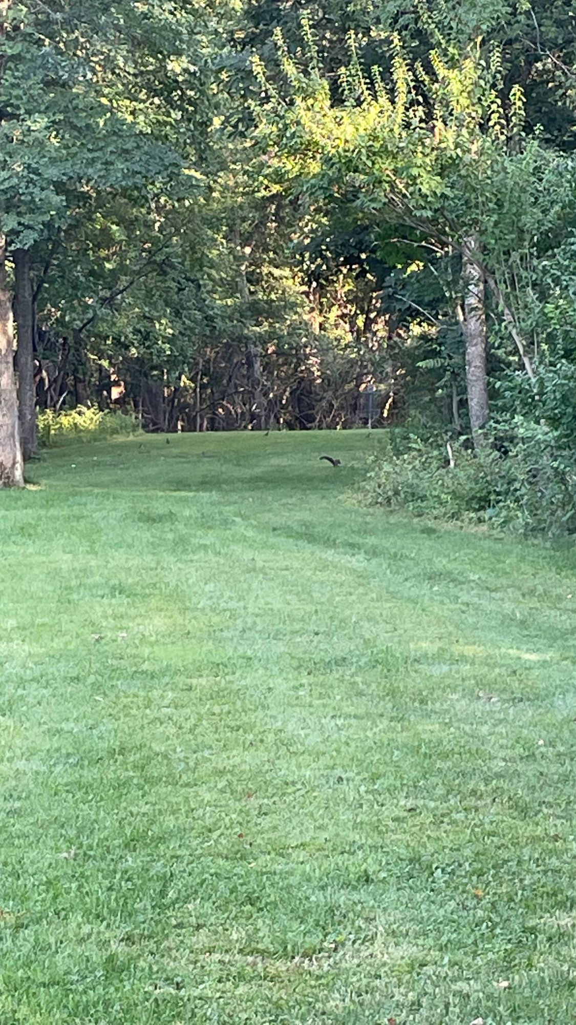 Hole 1