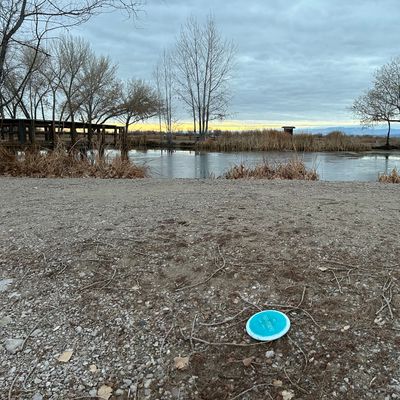 Parked at the pond