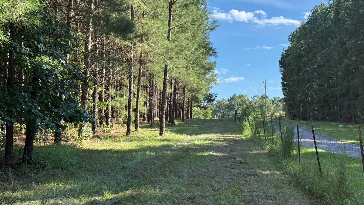 Hole 9: Tee Shot