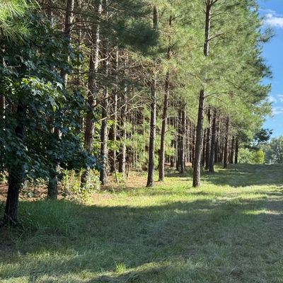 Hole 9: Tee Shot
