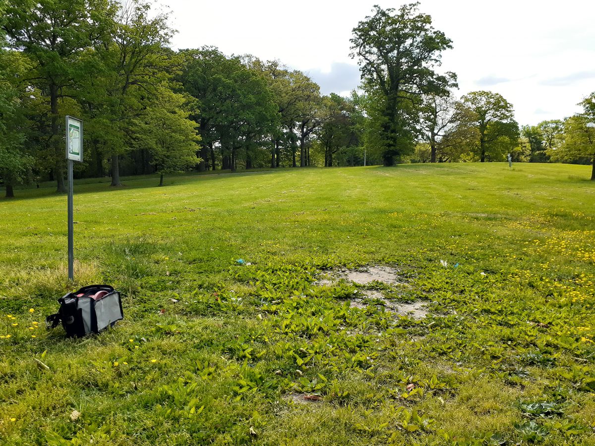 Hole 6 Tee