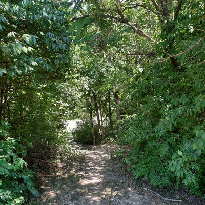 Hole 2