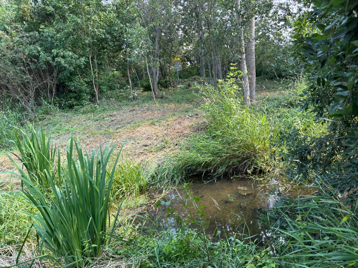 Hole 18s island green