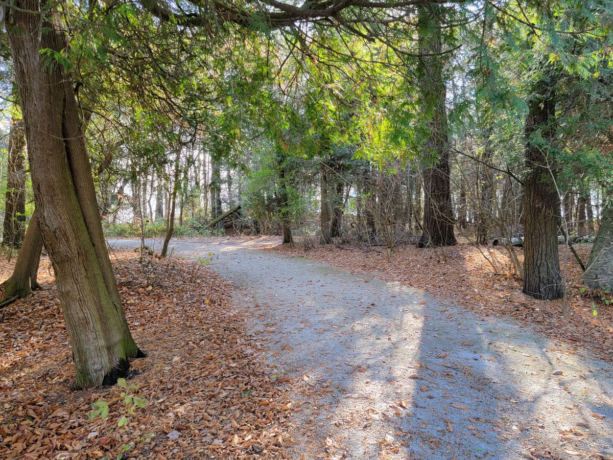 Walkway to hole 5 from putting area and hole 4.