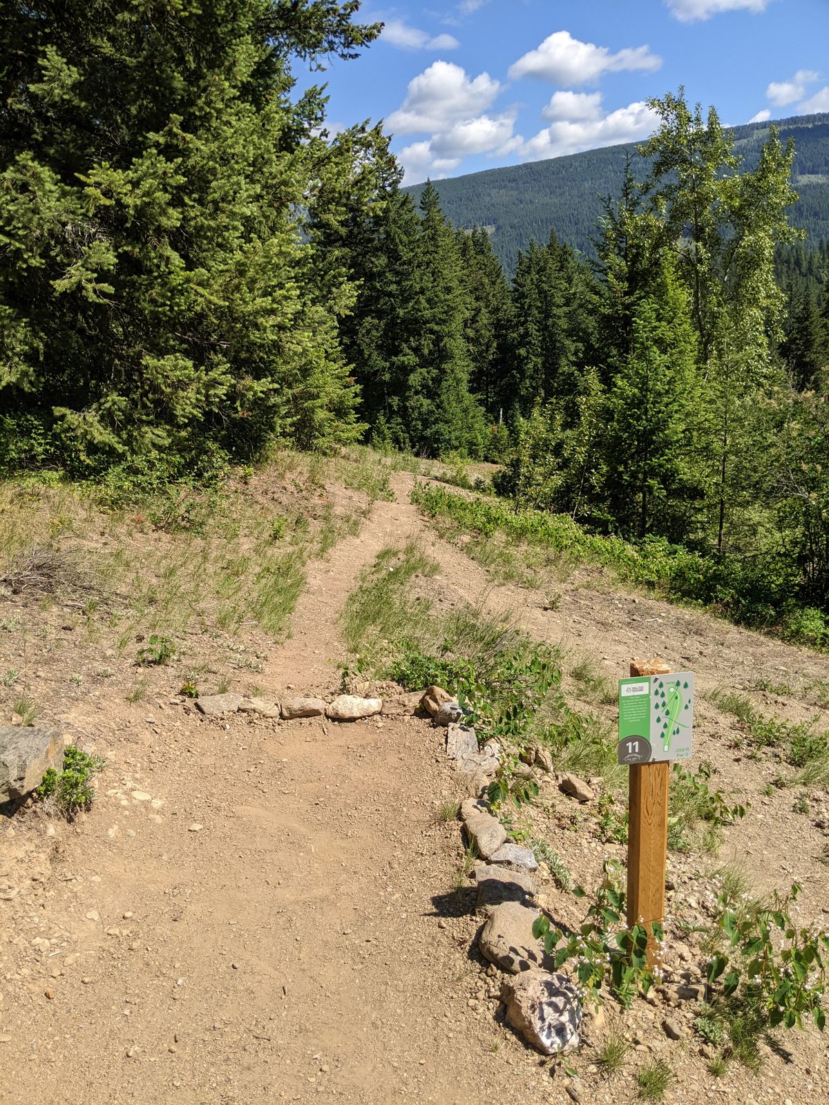 11 tee box