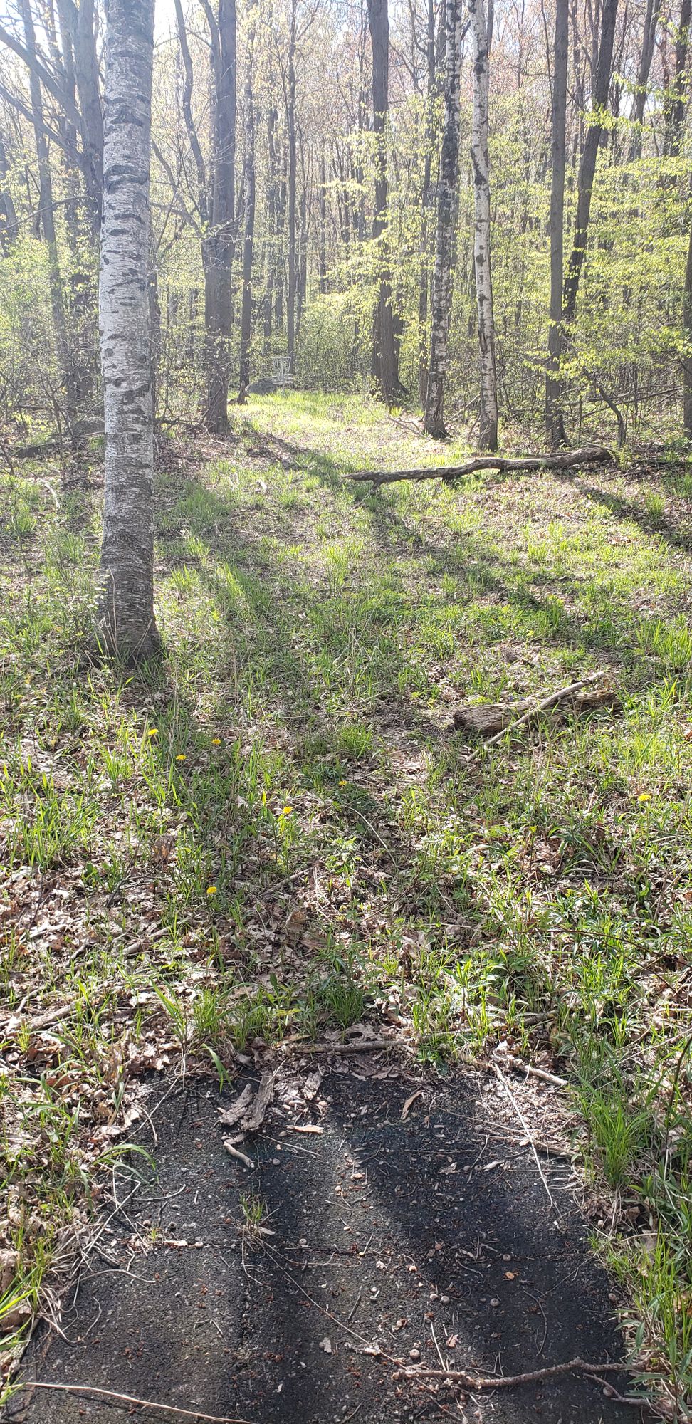 Hole 7