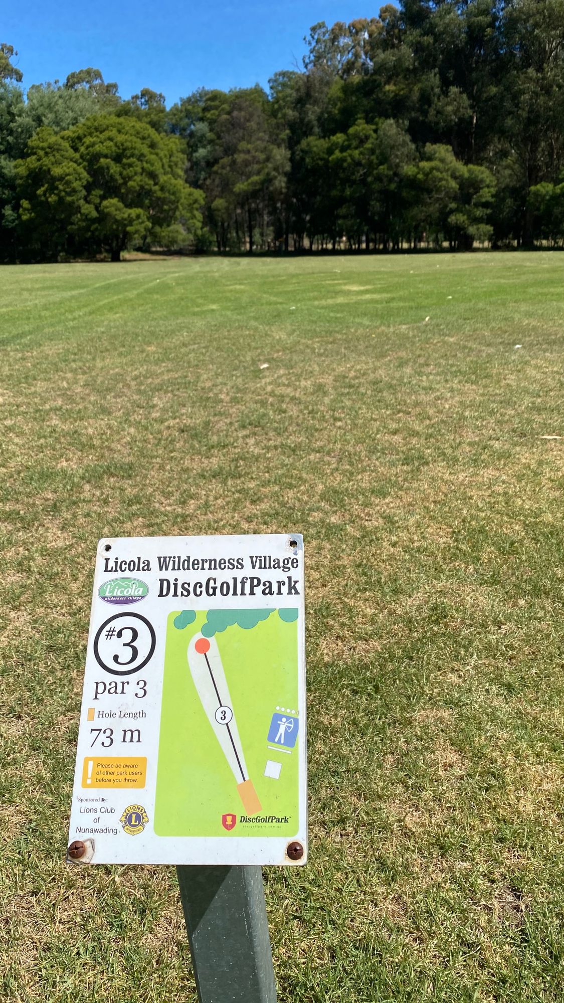 Hole 3 - par 3