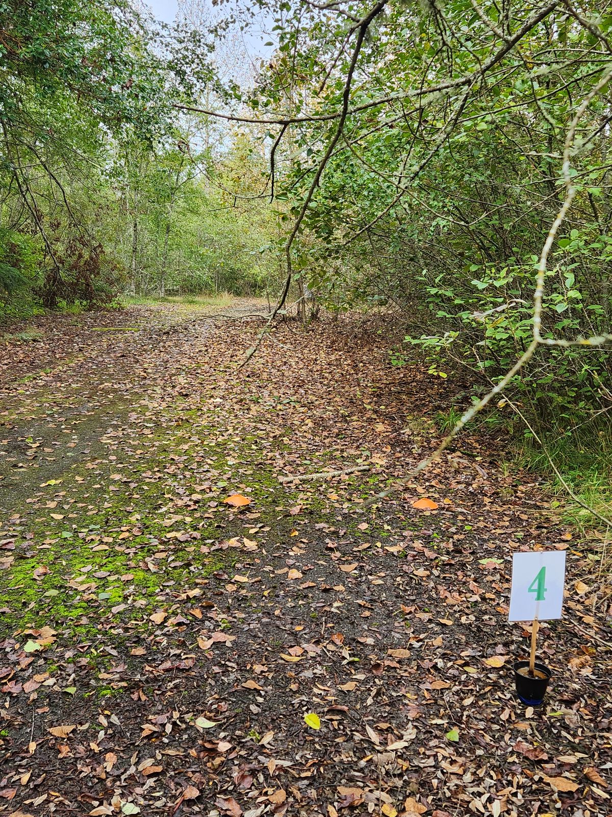 Hole 4