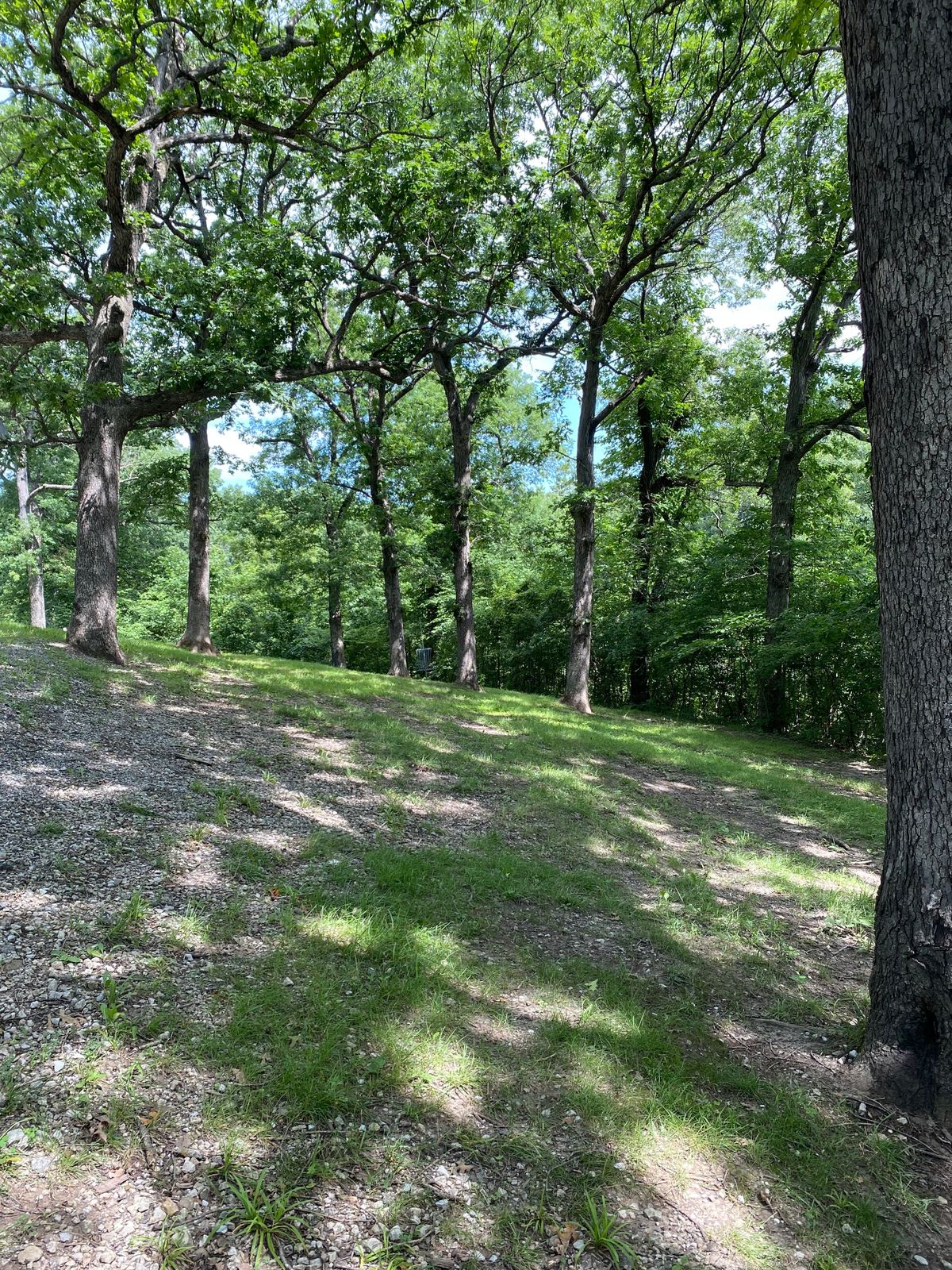Hole 3 Mid-Fairway