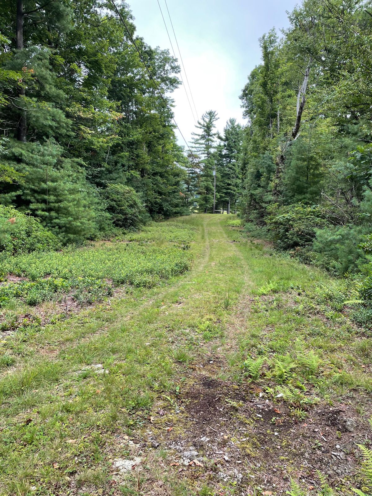 Hole 1 Tee.