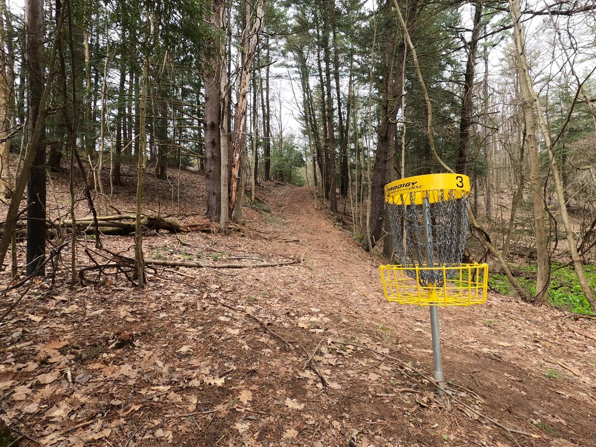 Hole #3 Basket