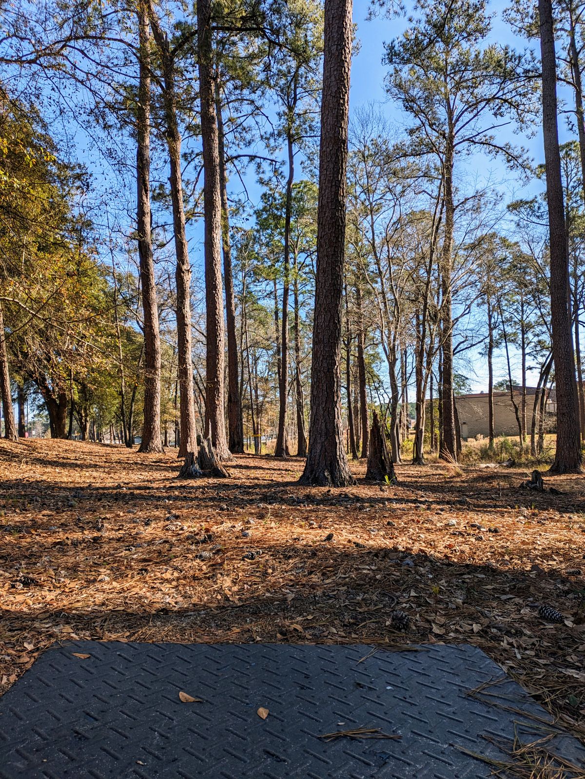 7th Tee Pad
