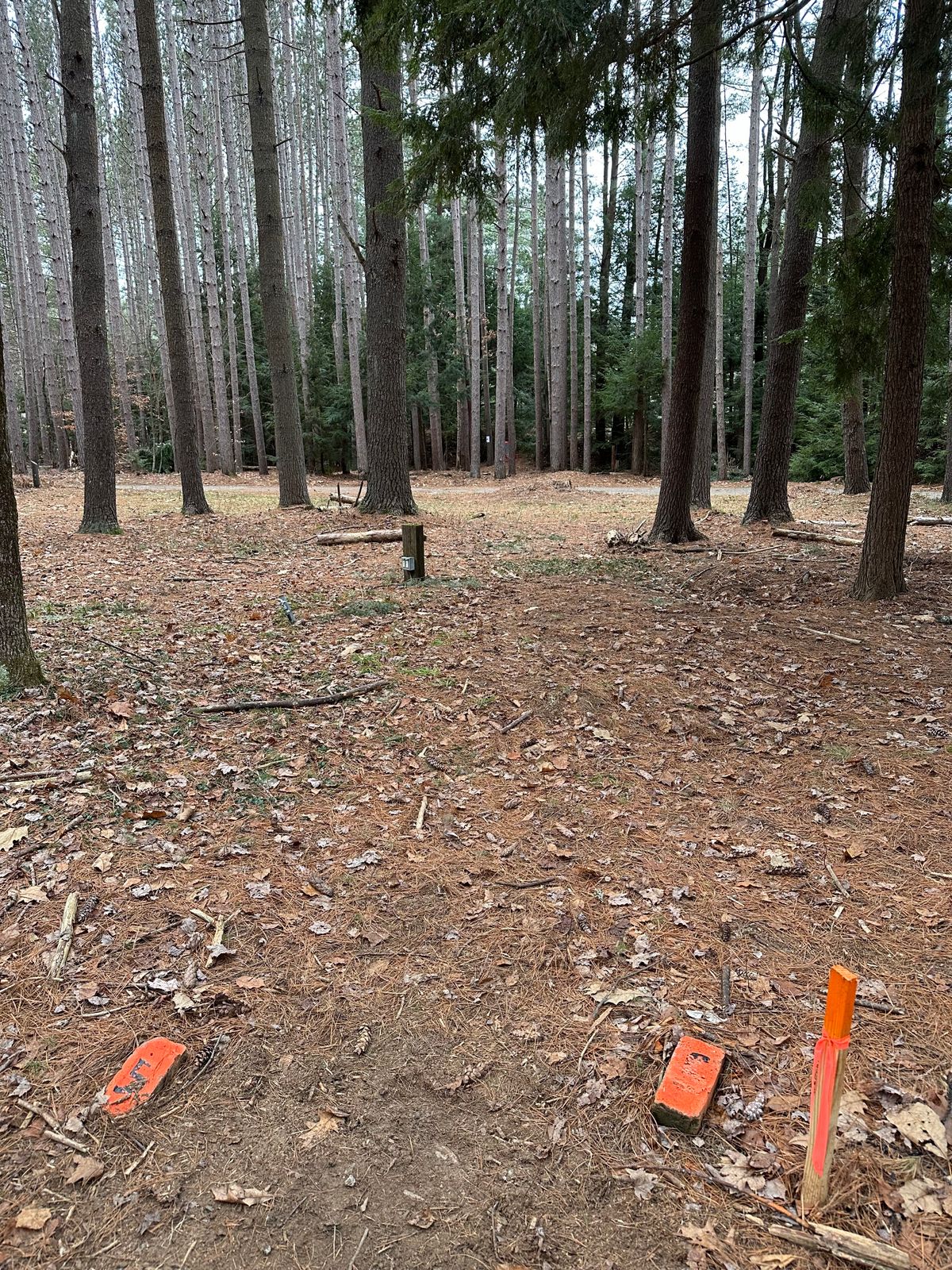 Hole 5