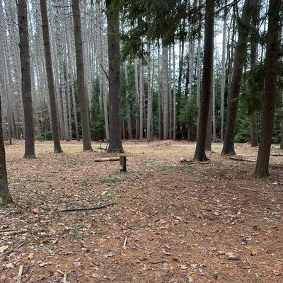 Hole 5