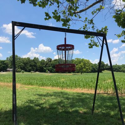 Hole 9 & 18 basket