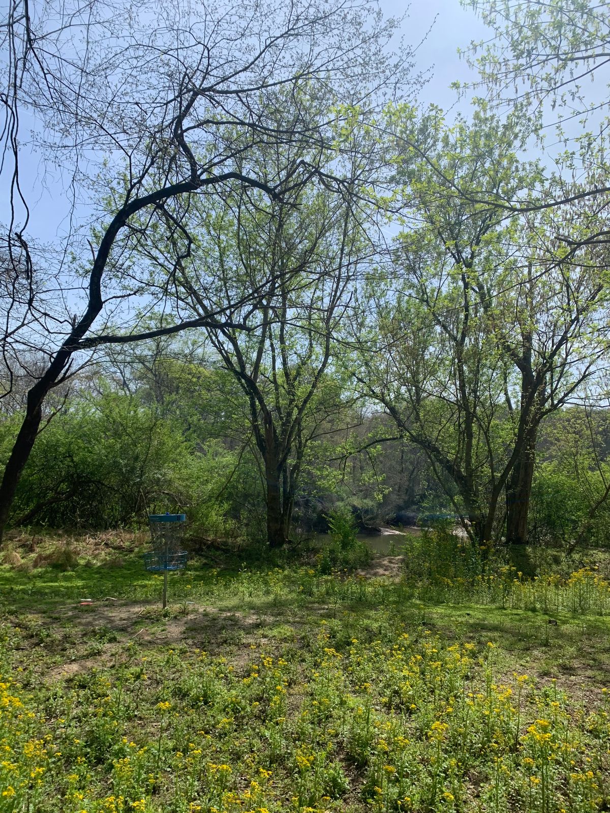 Hole 8 Basket, with Chattahoochee in the Background down a slope