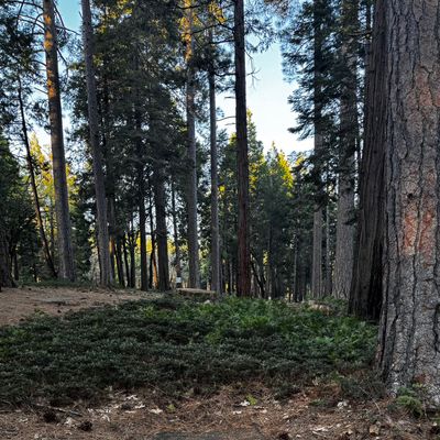 Tee of hole 15
