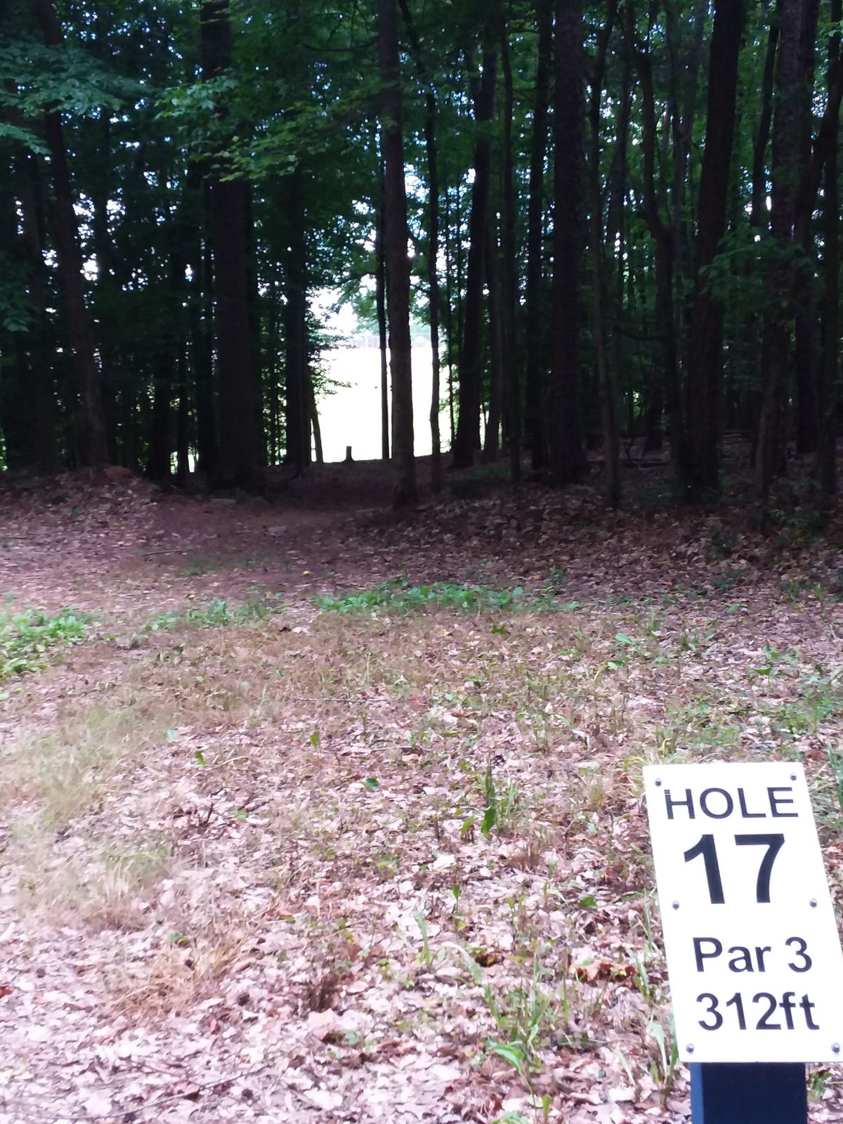 Tunnel shot down & up to open 17 green.