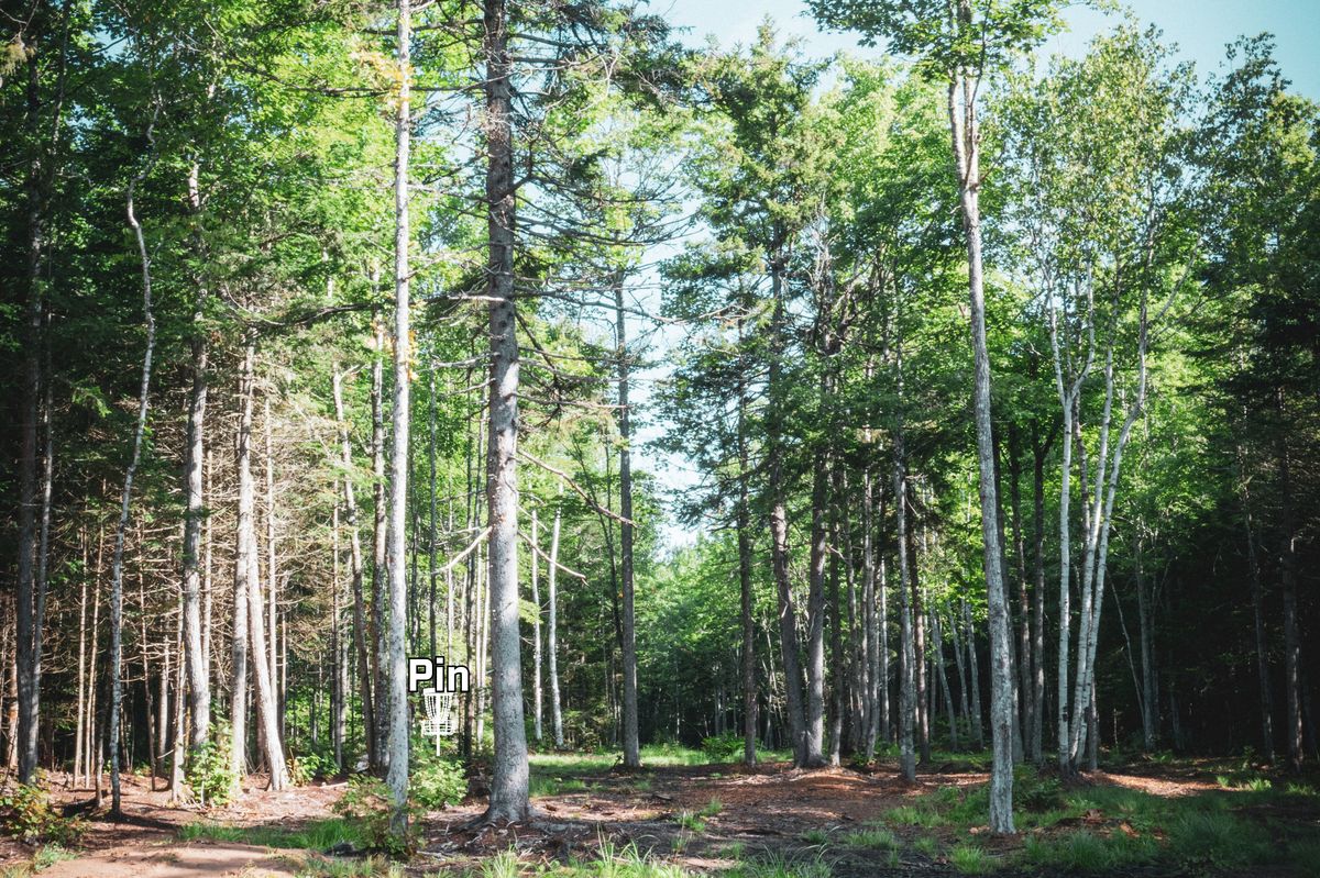 Hole 13 Fairway about 250’ to the Pin.