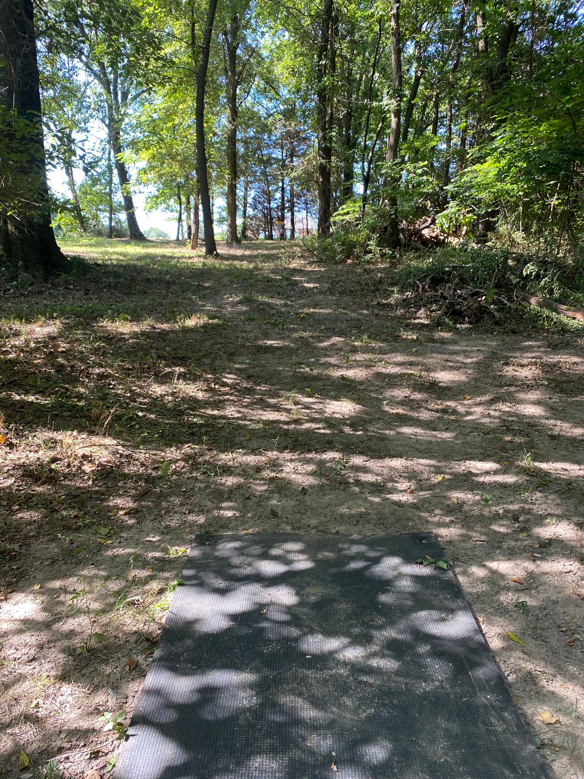 Hole 5
