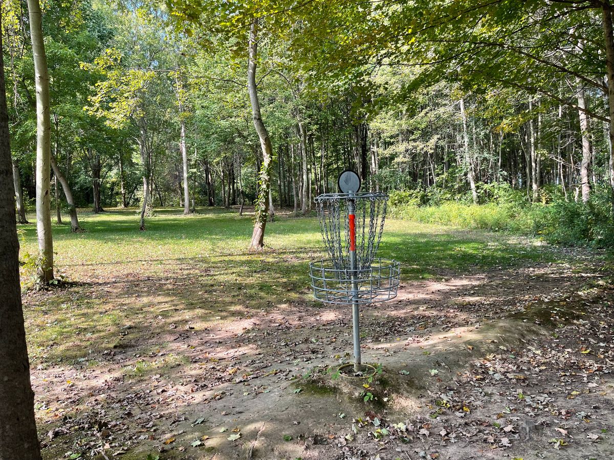 Hole 13 Basket