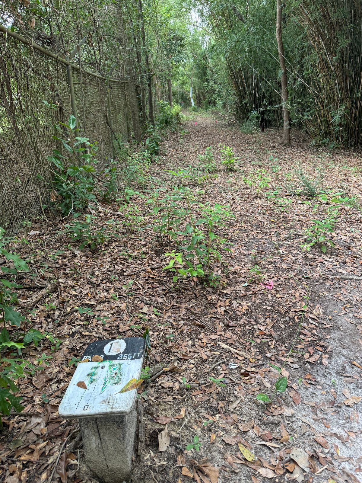 Hole 17 tee (tight ride side ditch)