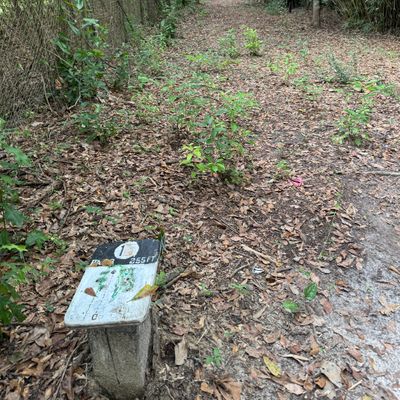 Hole 17 tee (tight ride side ditch)