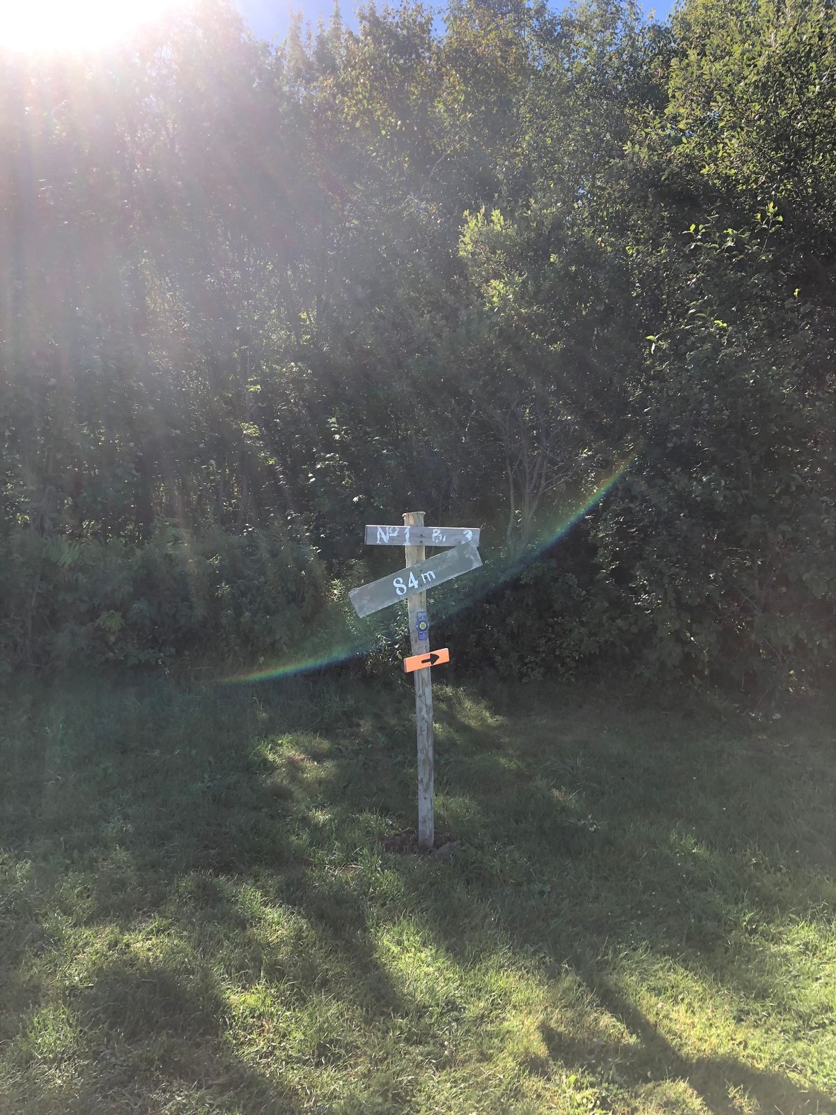 Hole 1 tee