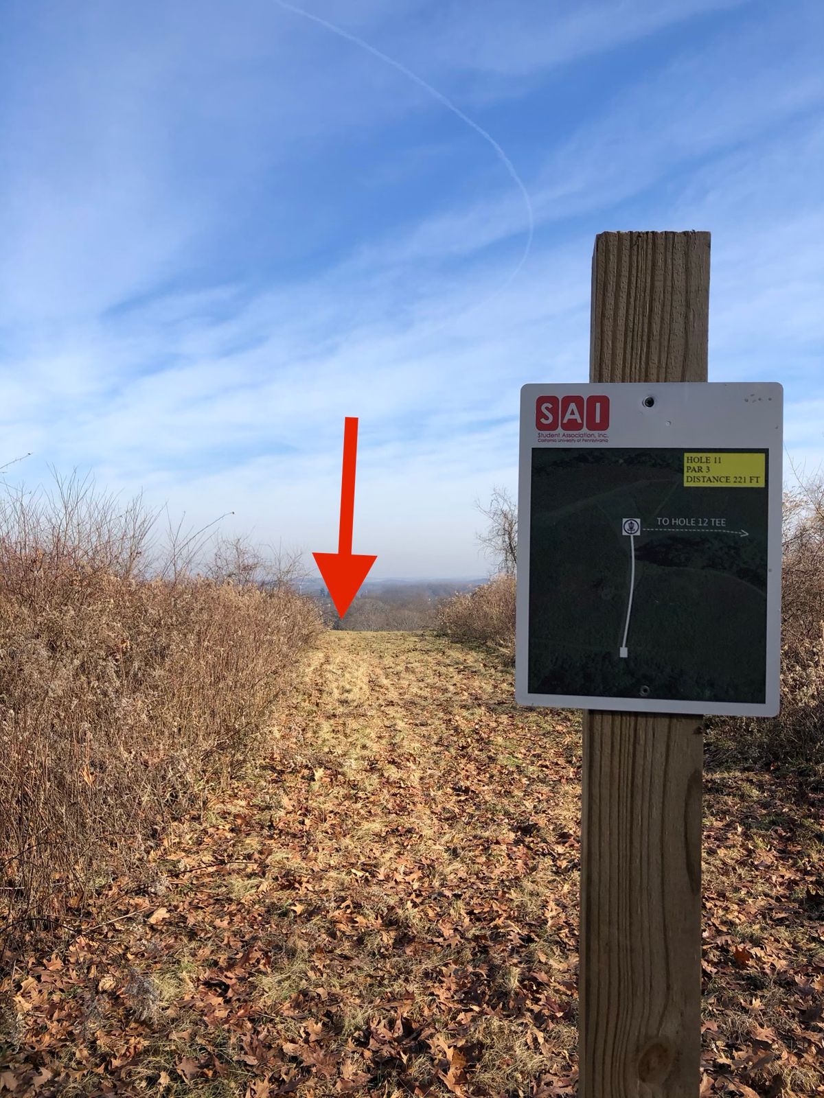 Hole 11 tee