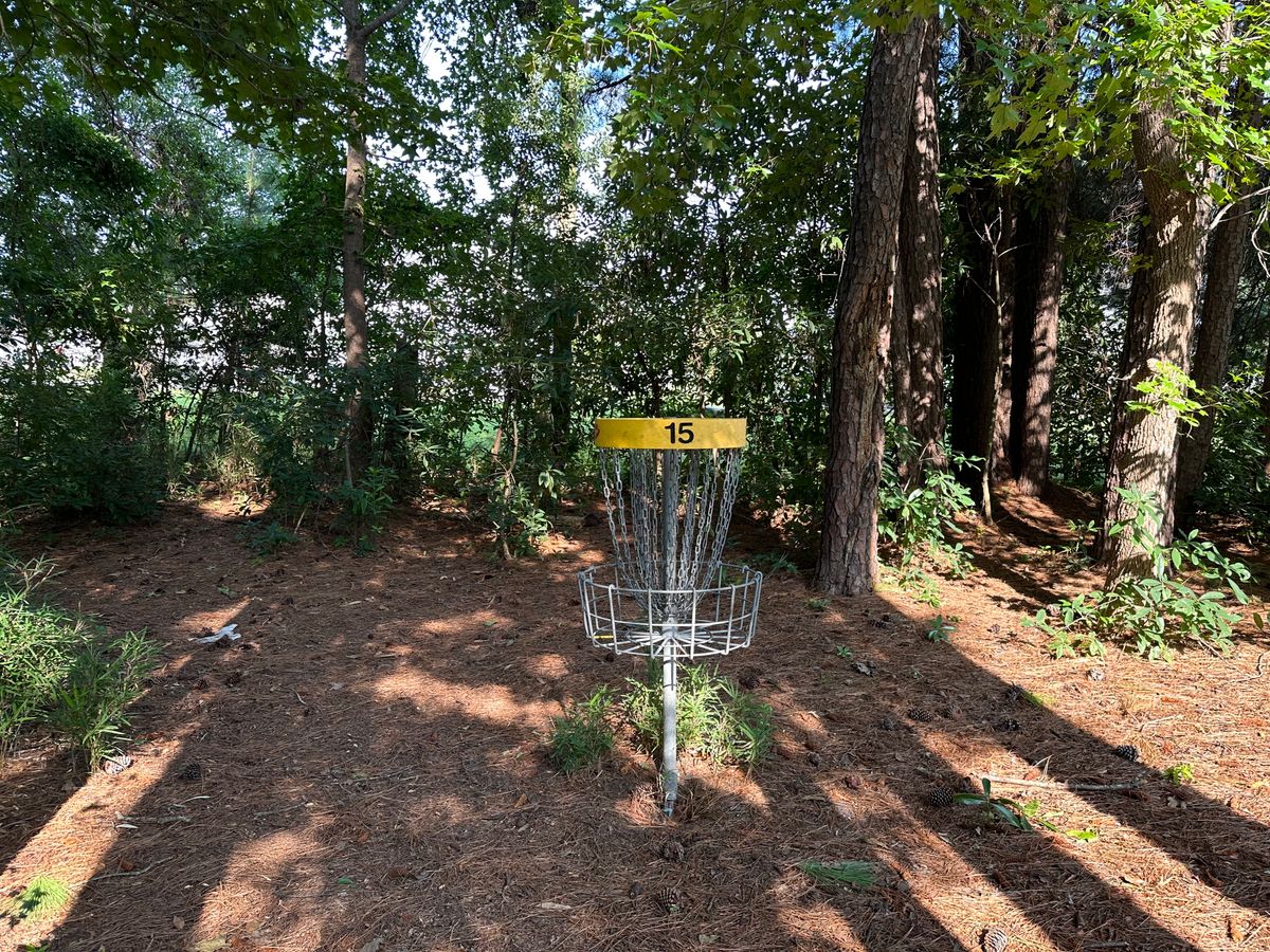 Hole 15 Basket
