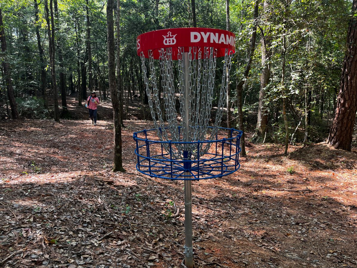 Hole 8 basket