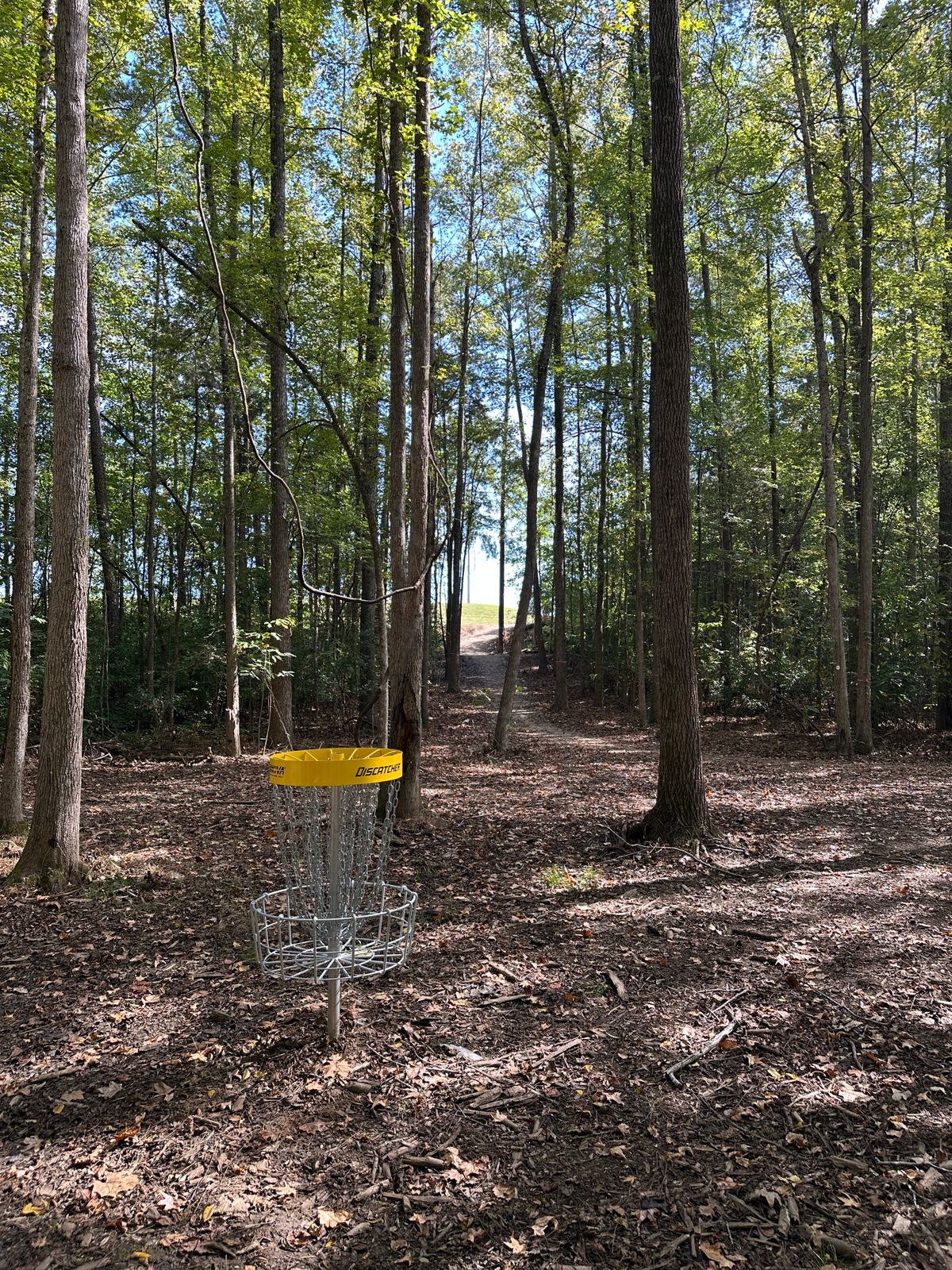Hole 2 looking back to the tee.