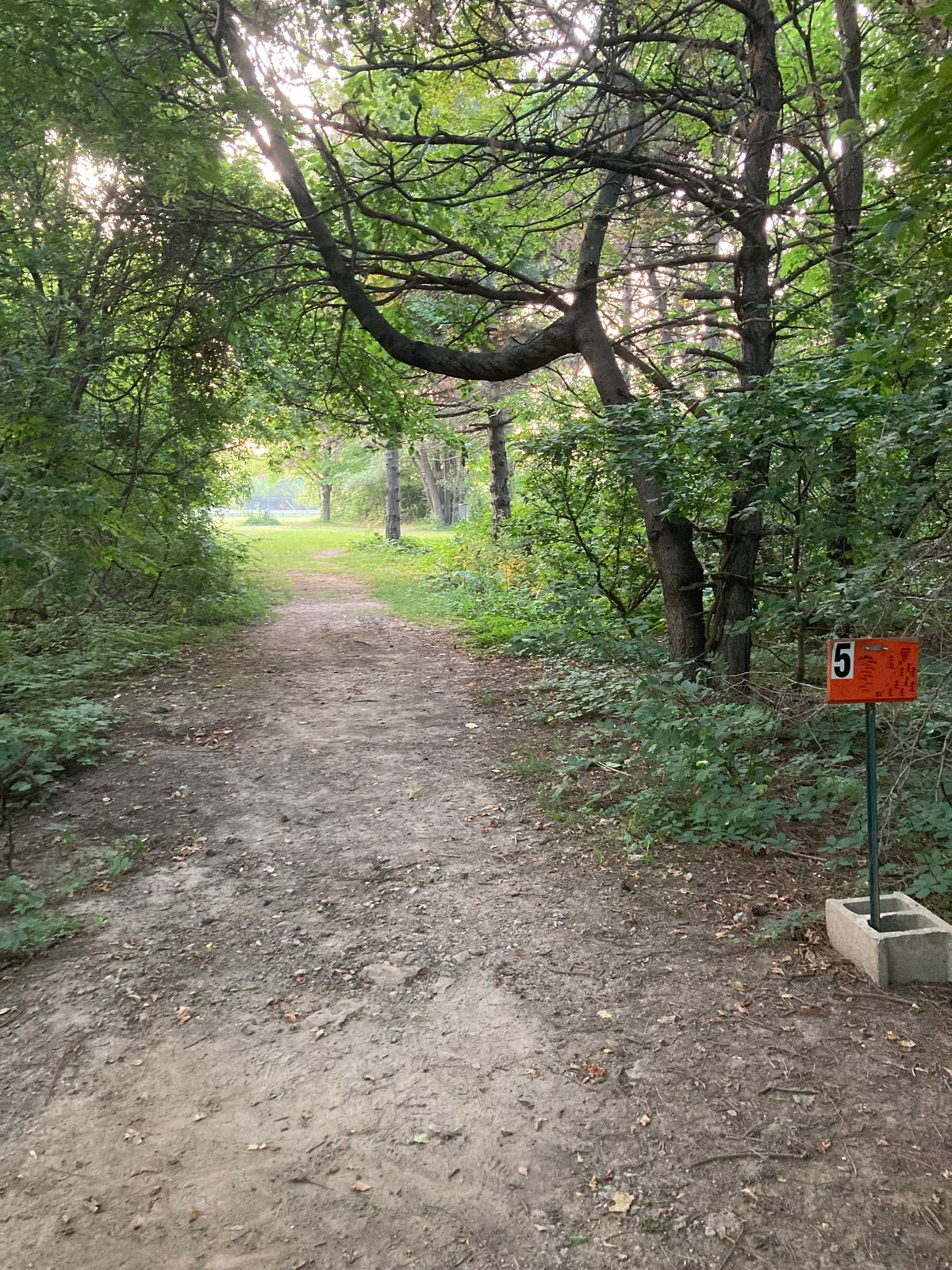 Main #5 Tee