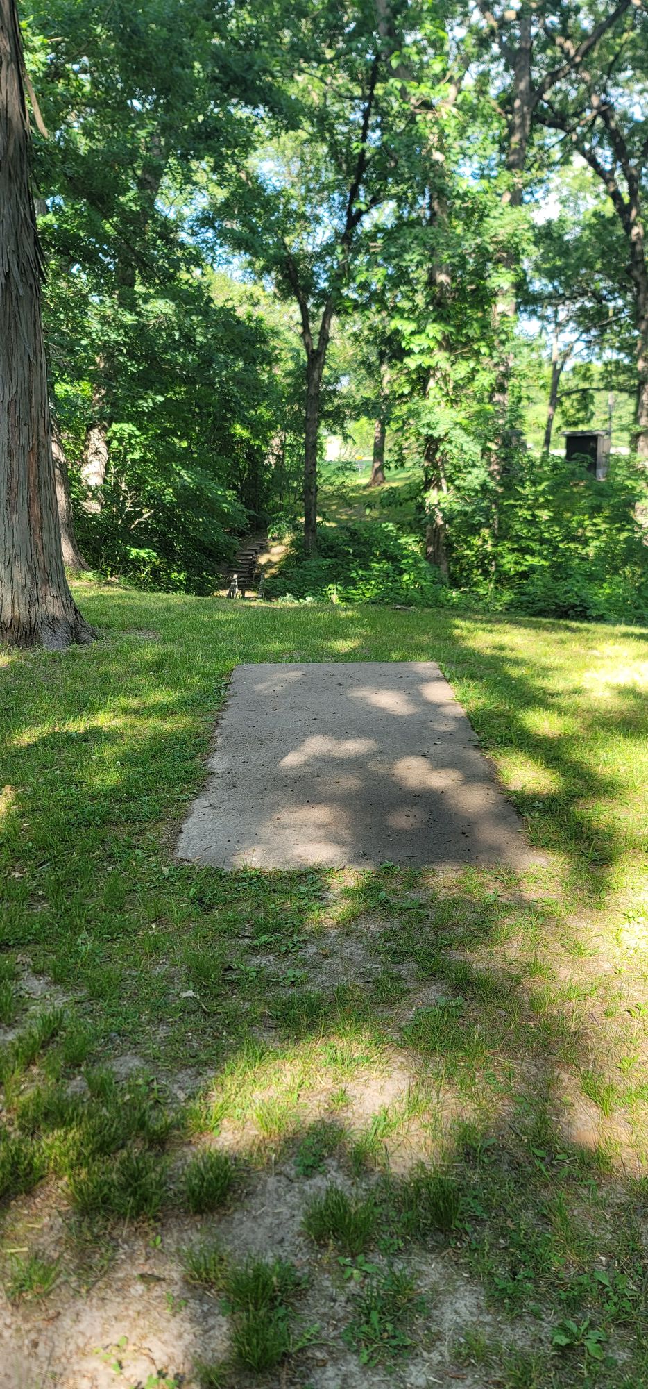 10 tee pad.