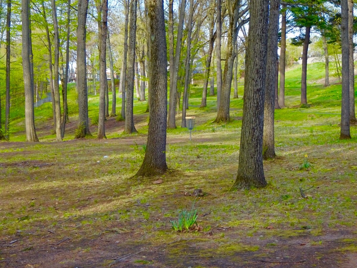 Hole 3A/B basket