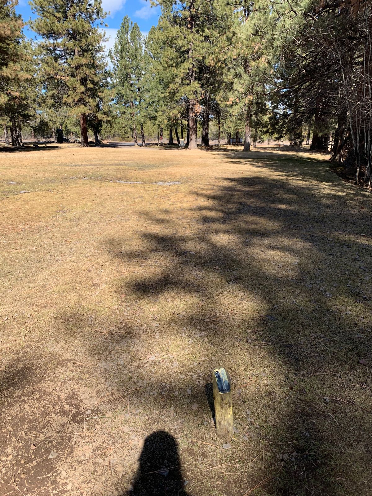 Tee for hole #1. None of the tees have real established pads and are all marked by wooden posts