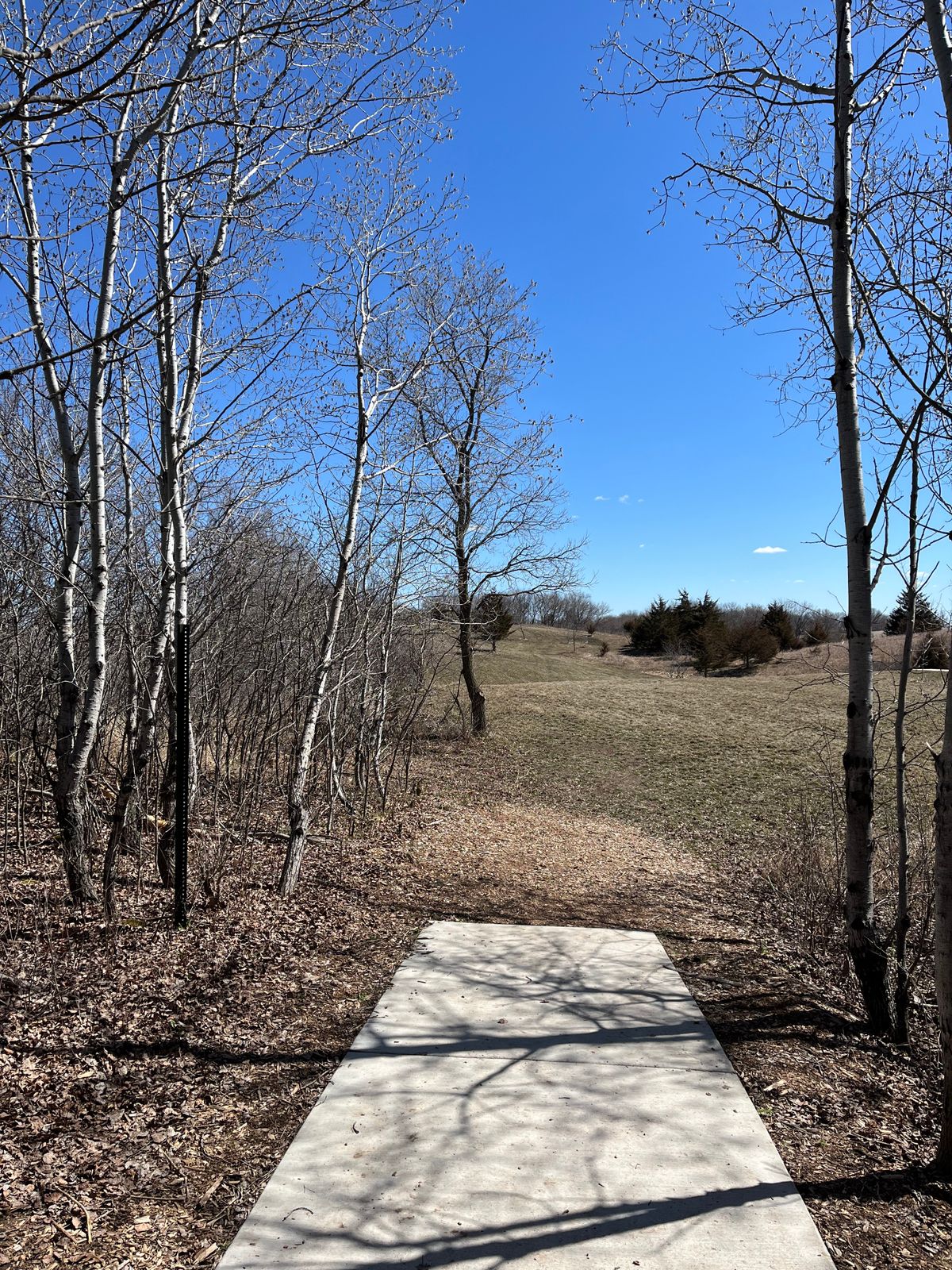 Tee 5 - Sanctuary Layout