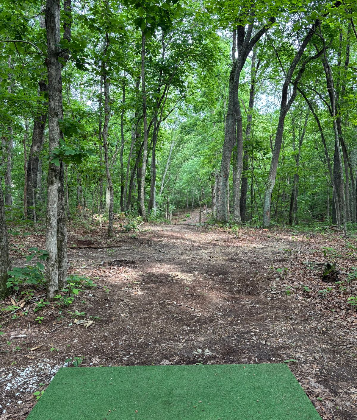 Hole #13 Tee