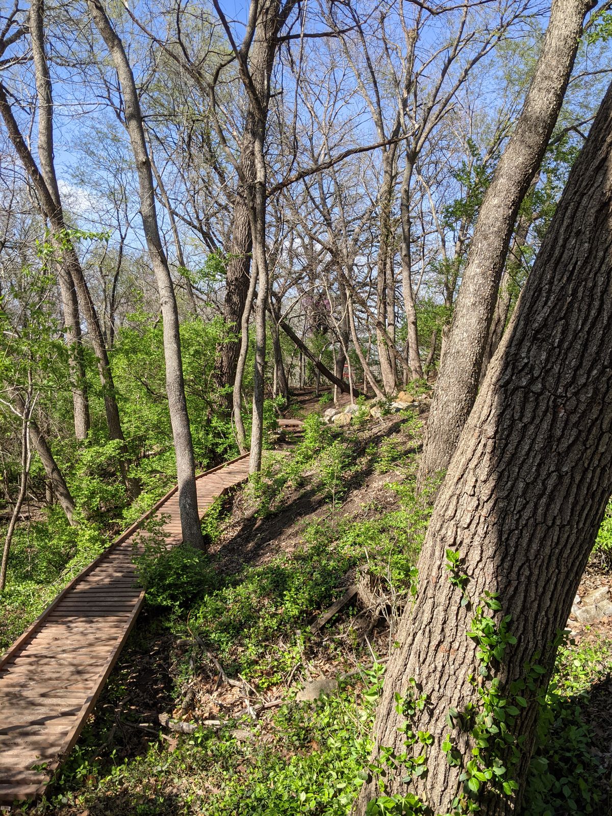 Hole 6 tee to basket view.