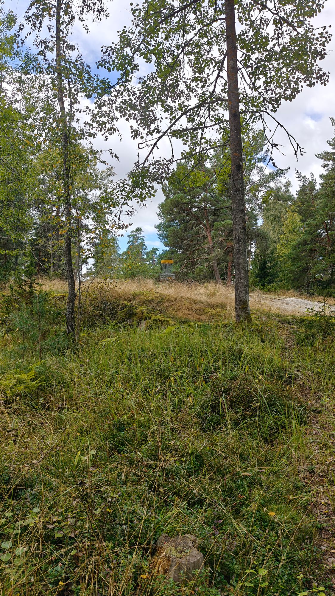 Hole 7