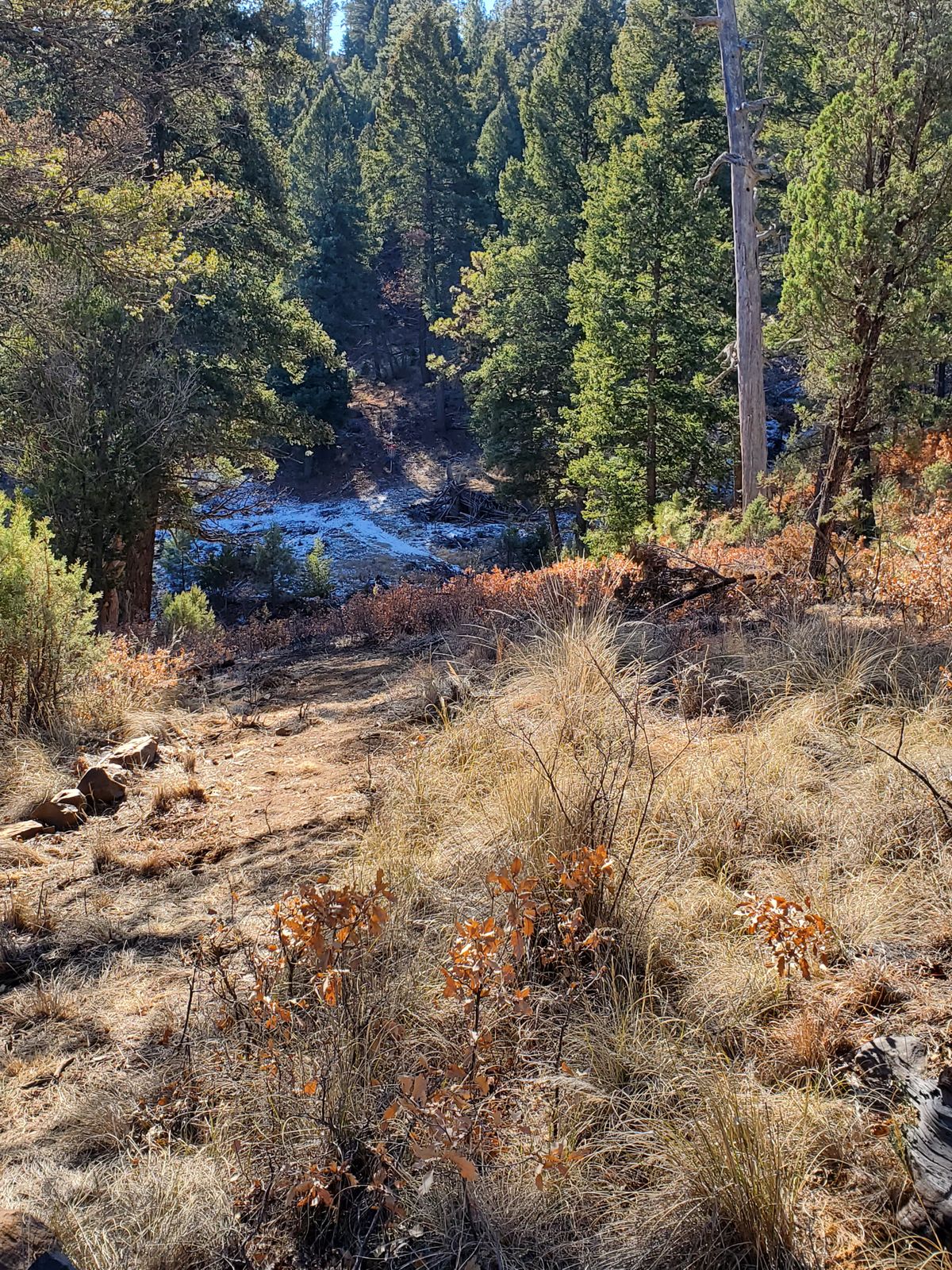 Hole 8 tee