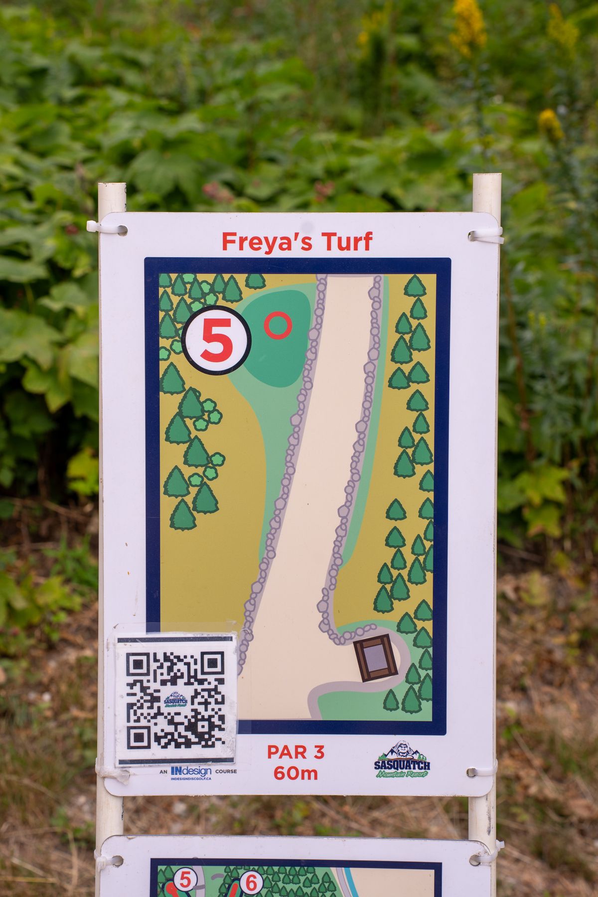 Hole 5