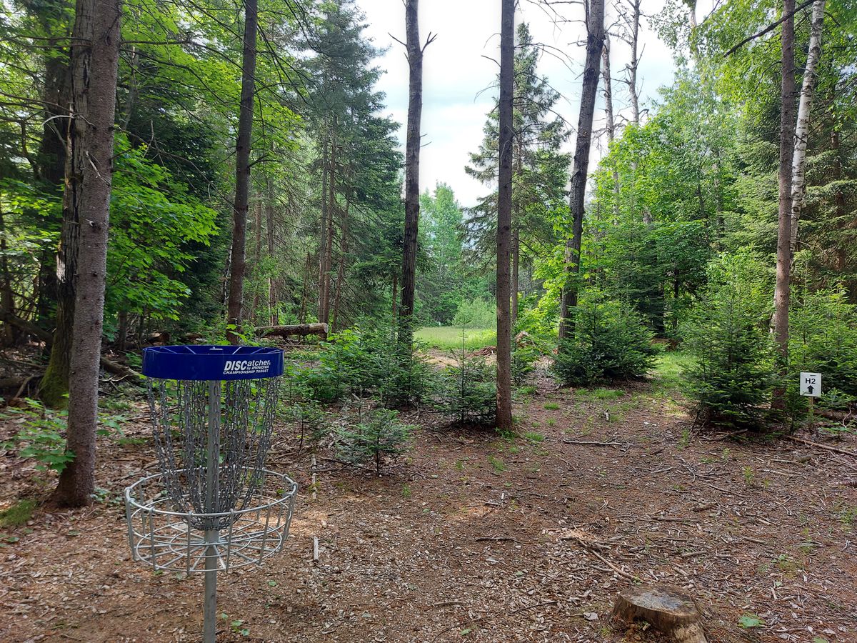 Reverse back up the fairway. 🍁🌲🍁🌲🍁🌲