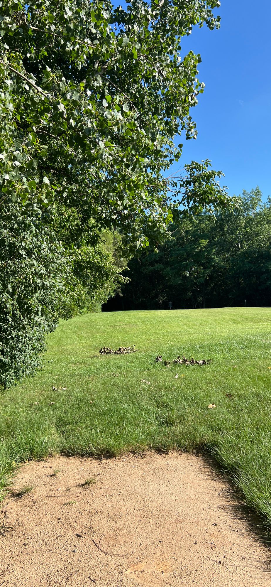 Hole 5 - View from Tee Box - June 2024