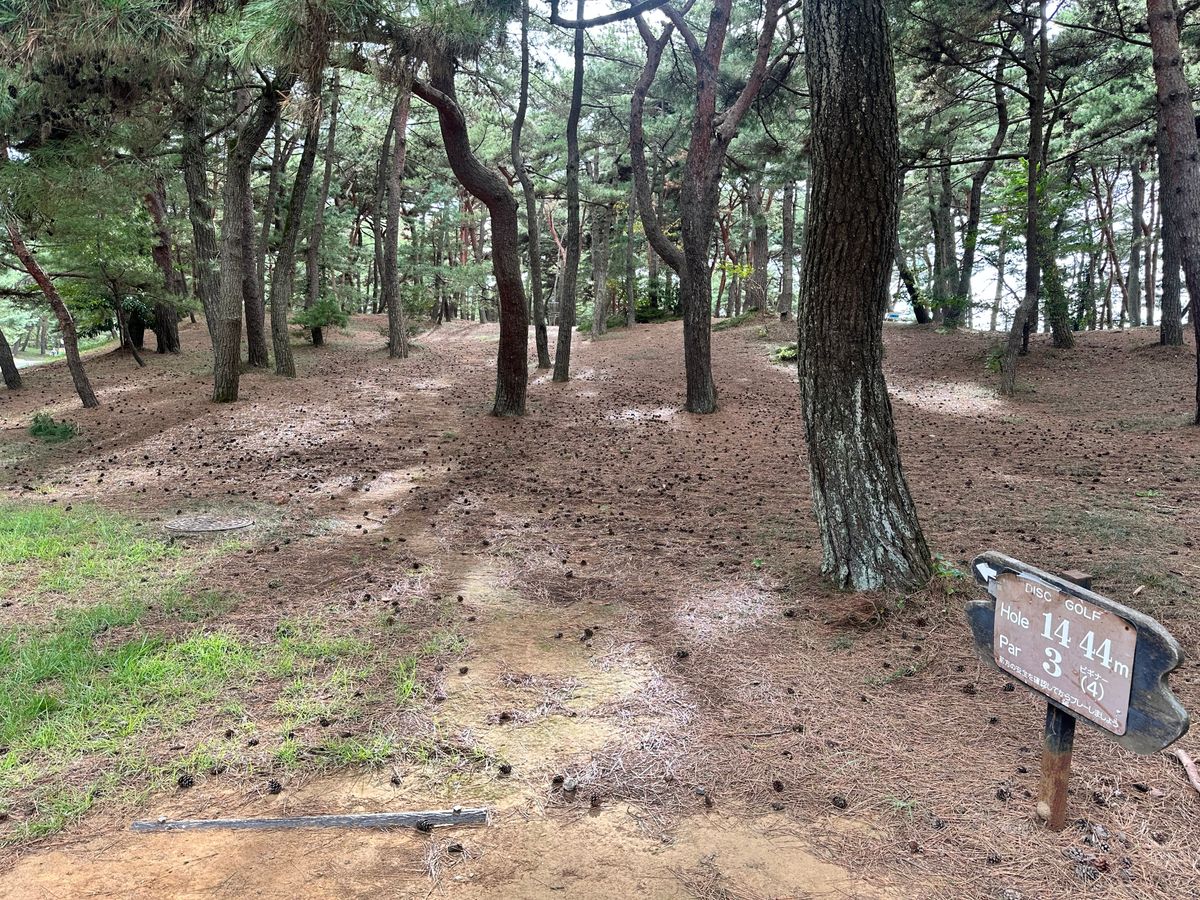 Hole 14