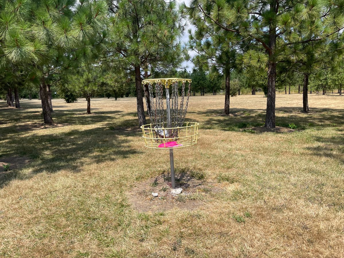 Baskets are all present and in nice condition as of July 2024