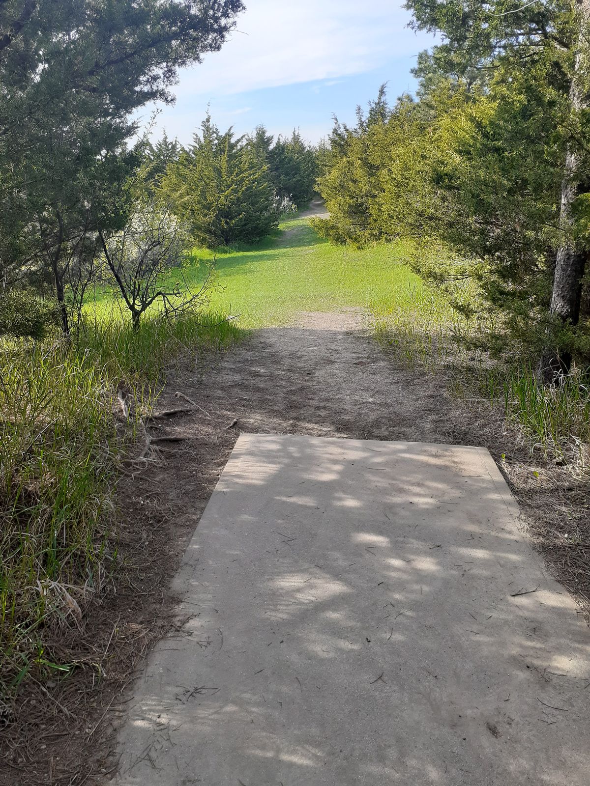 Hole 14