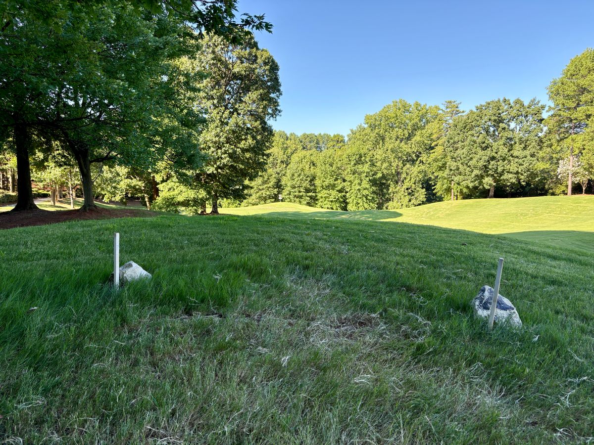 Hole 4 tee